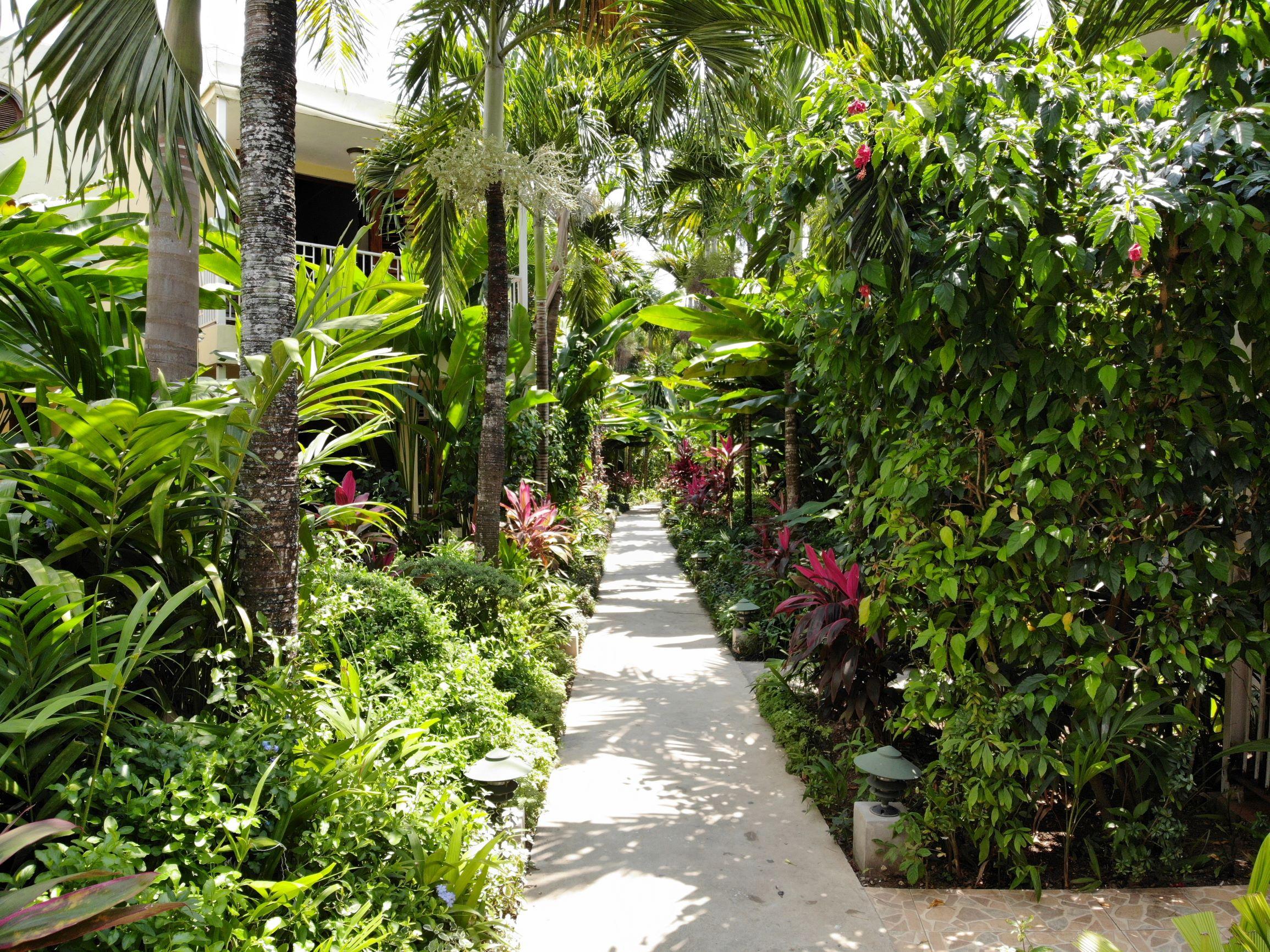 Negril Palms Hotel Exterior foto