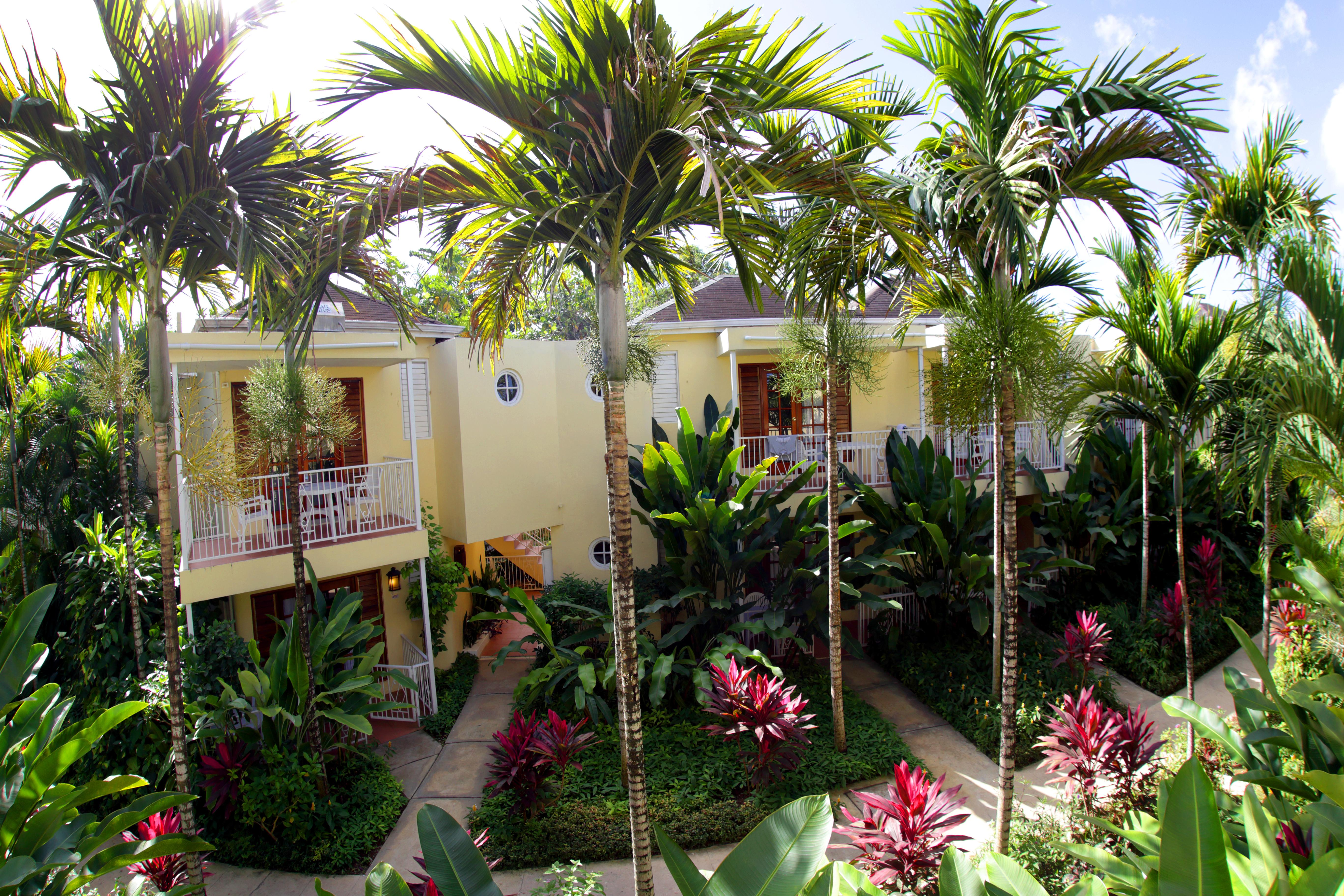 Negril Palms Hotel Exterior foto